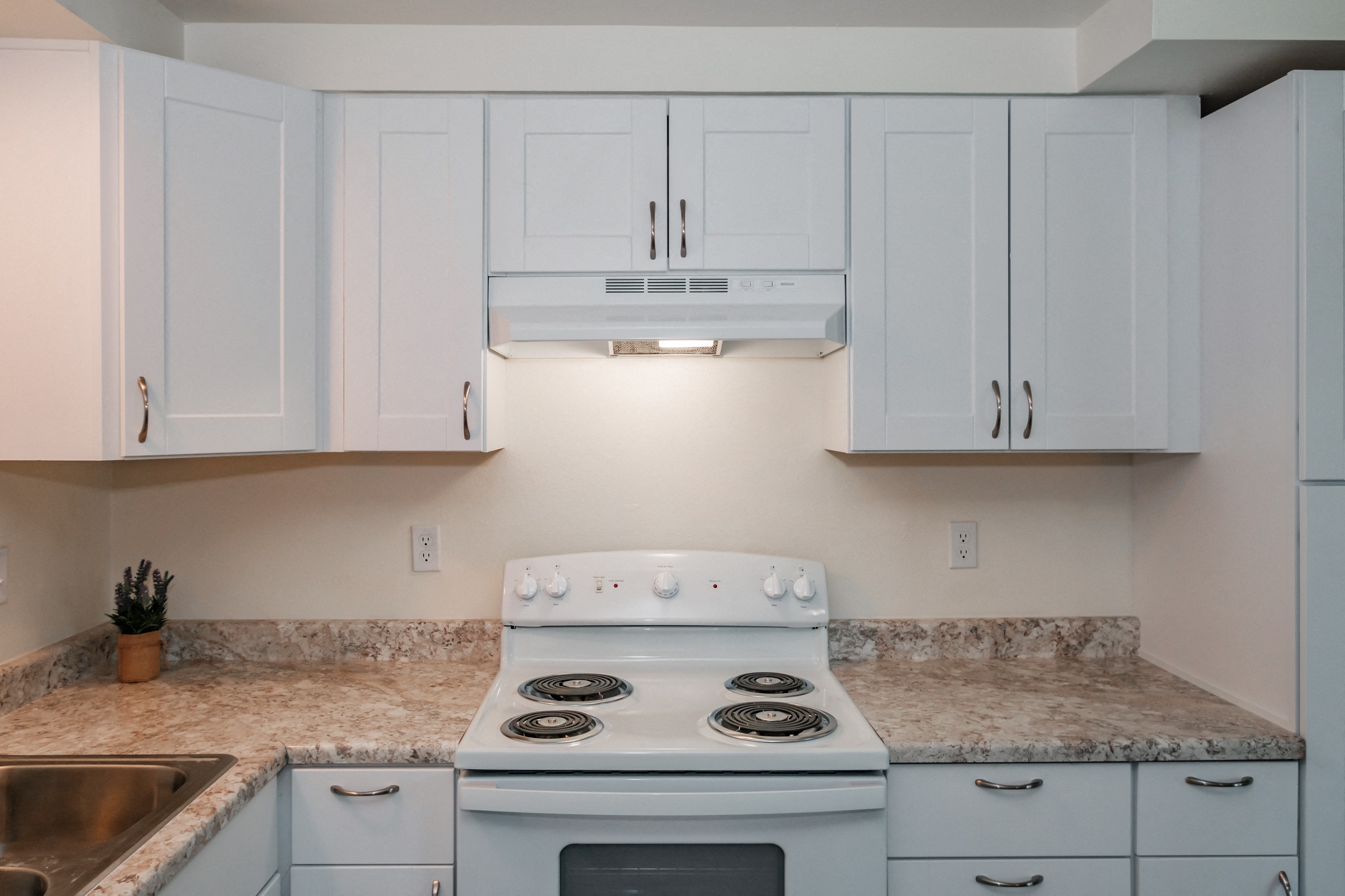 Sequoia | Renovated Kitchen
